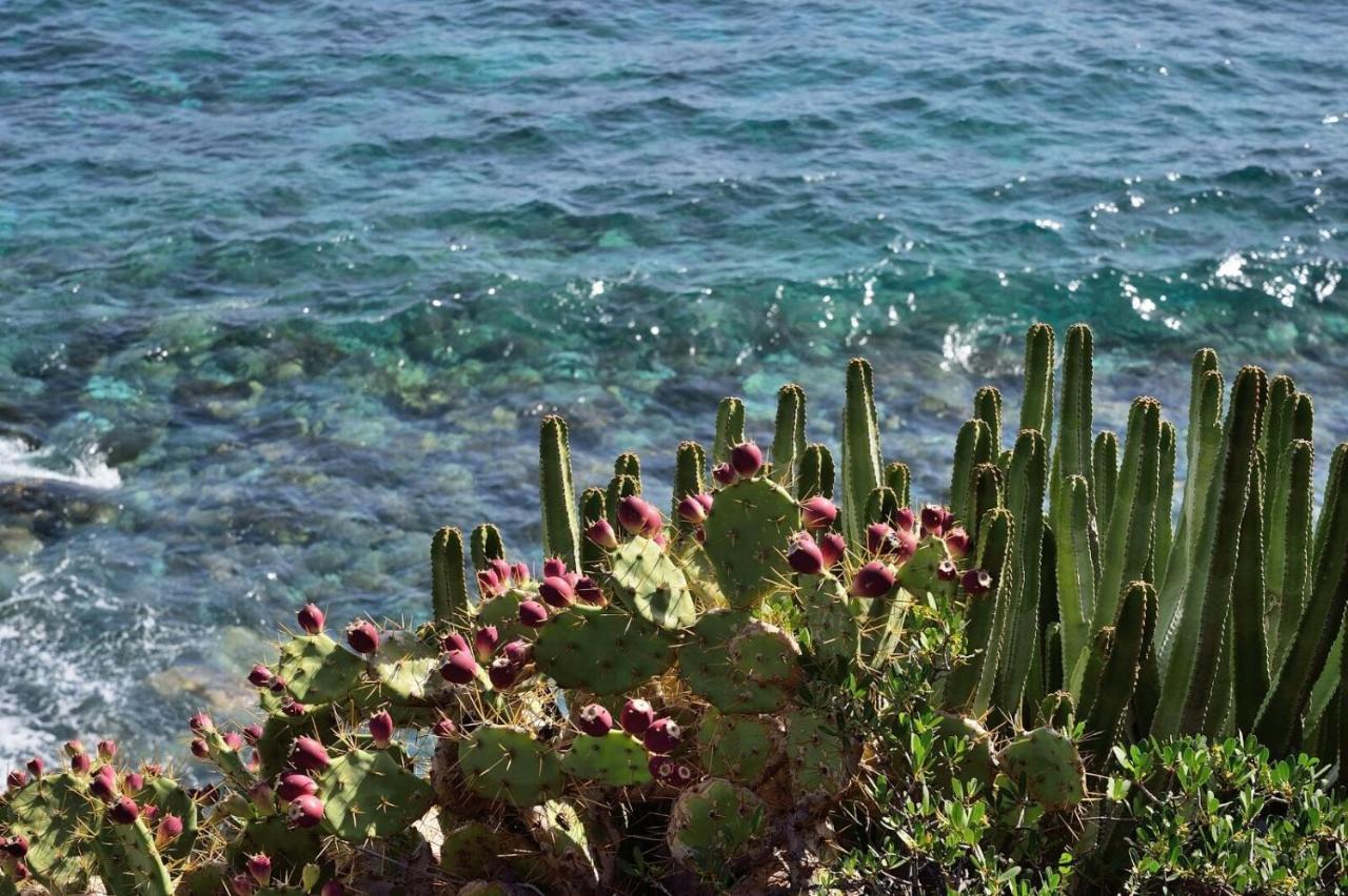 Aparthotel El Cerrito Playa Cancajos na wyspie la Palma Zewnętrze zdjęcie